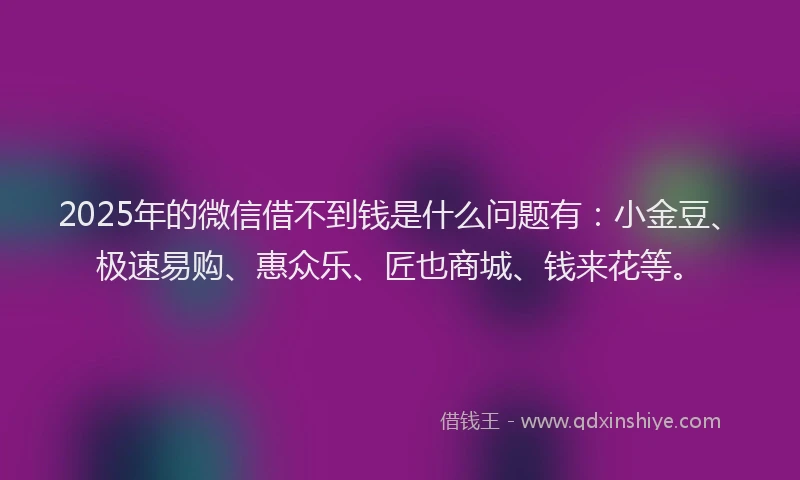 2025年的微信借不到钱是什么问题有：小金豆、极速易购、惠众乐、匠也商城、钱来花等。