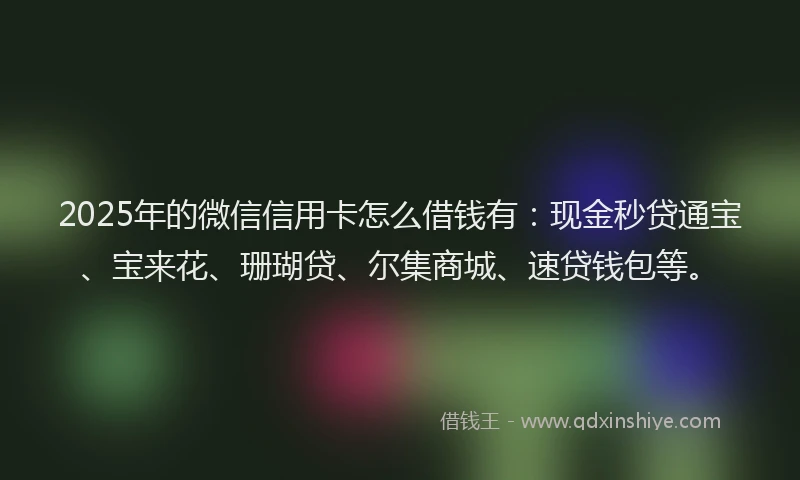 2025年的微信信用卡怎么借钱有：现金秒贷通宝、宝来花、珊瑚贷、尔集商城、速贷钱包等。