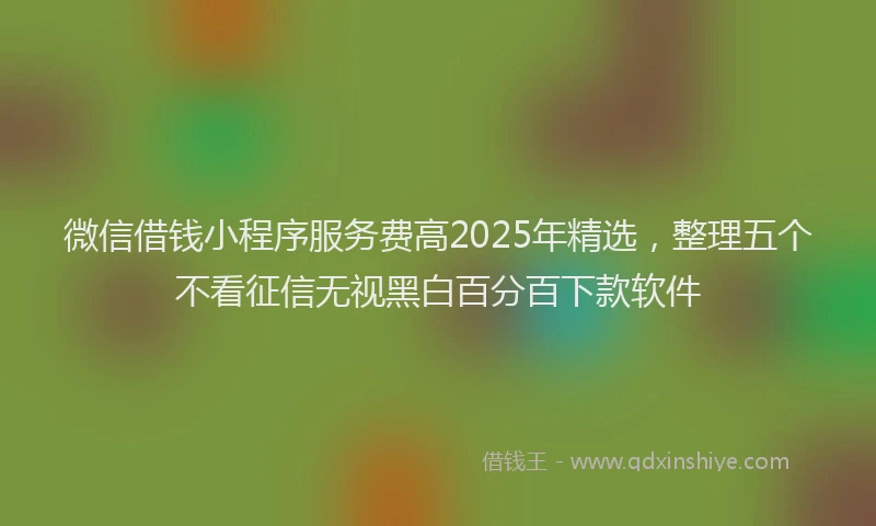 微信借钱小程序服务费高2025年精选，整理五个不看征信无视黑白百分百下款软件