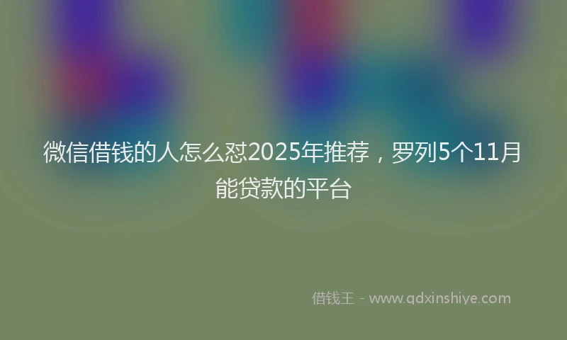 微信借钱的人怎么怼2025年推荐，罗列5个11月能贷款的平台