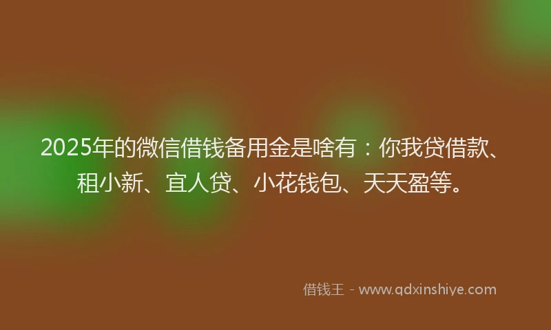 2025年的微信借钱备用金是啥有：你我贷借款、租小新、宜人贷、小花钱包、天天盈等。