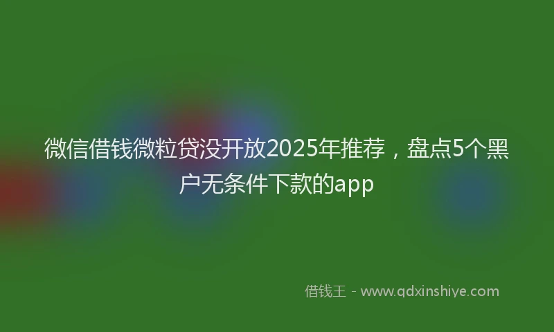 微信借钱微粒贷没开放2025年推荐，盘点5个黑户无条件下款的app
