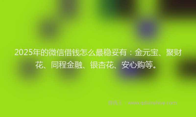 2025年的微信借钱怎么最稳妥有：金元宝、聚财花、同程金融、银杏花、安心购等。
