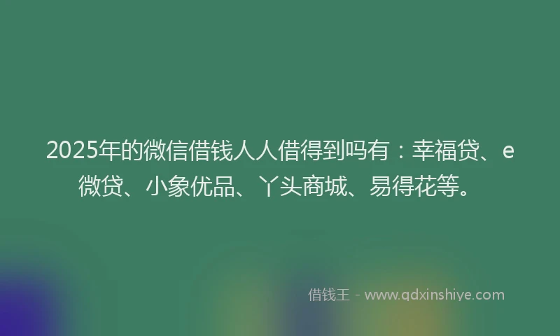 2025年的微信借钱人人借得到吗有：幸福贷、e微贷、小象优品、丫头商城、易得花等。