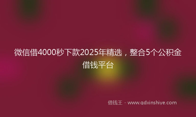 微信借4000秒下款2025年精选，整合5个公积金借钱平台