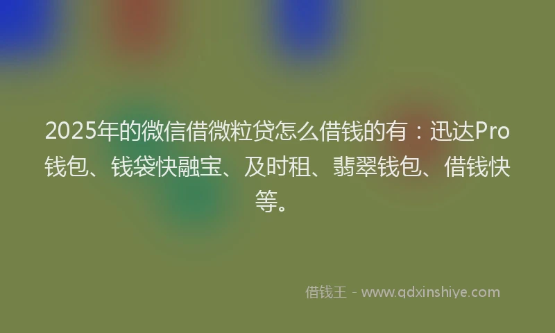 2025年的微信借微粒贷怎么借钱的有：迅达Pro钱包、钱袋快融宝、及时租、翡翠钱包、借钱快等。