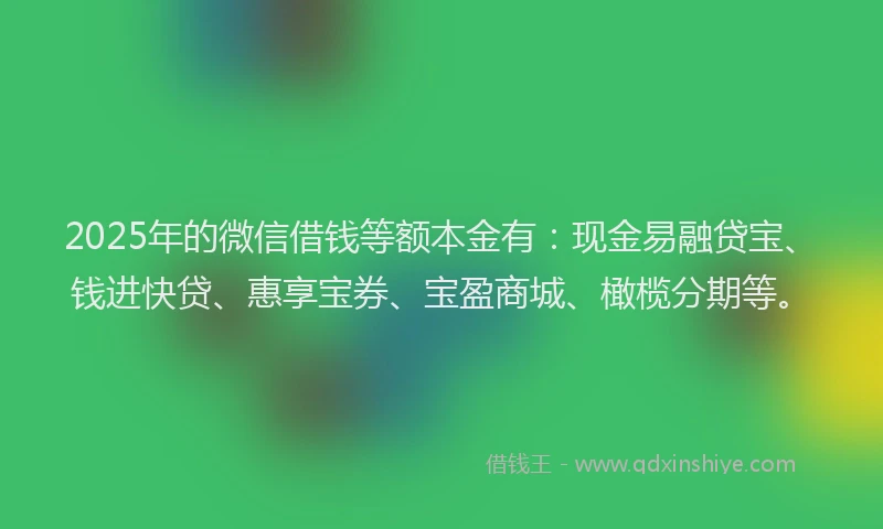 2025年的微信借钱等额本金有：现金易融贷宝、钱进快贷、惠享宝券、宝盈商城、橄榄分期等。