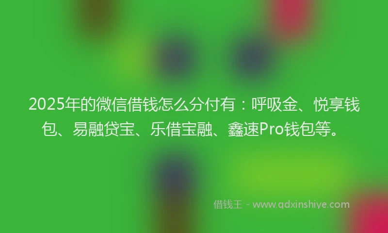2025年的微信借钱怎么分付有：呼吸金、悦享钱包、易融贷宝、乐借宝融、鑫速Pro钱包等。