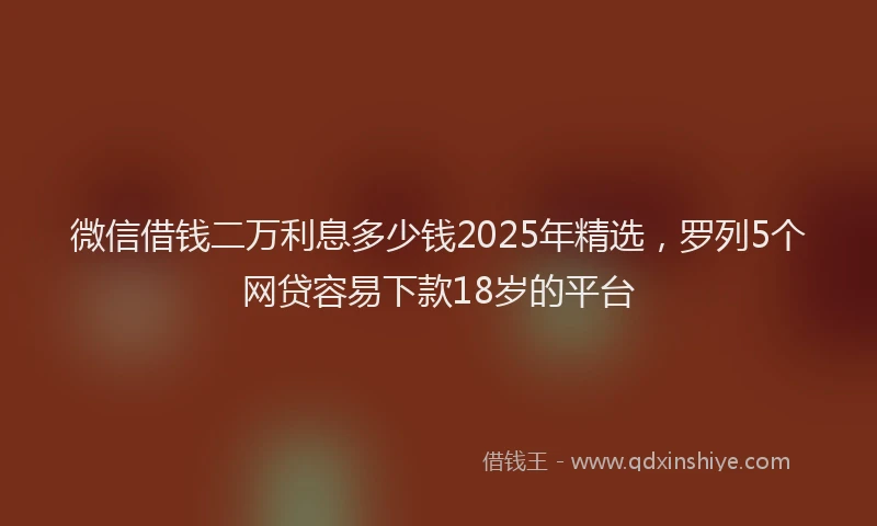 微信借钱二万利息多少钱2025年精选，罗列5个网贷容易下款18岁的平台