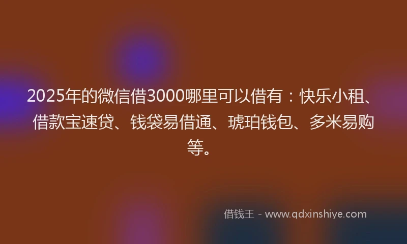2025年的微信借3000哪里可以借有：快乐小租、借款宝速贷、钱袋易借通、琥珀钱包、多米易购等。