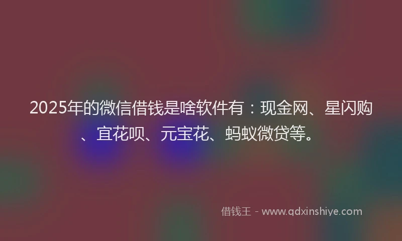 2025年的微信借钱是啥软件有：现金网、星闪购、宜花呗、元宝花、蚂蚁微贷等。