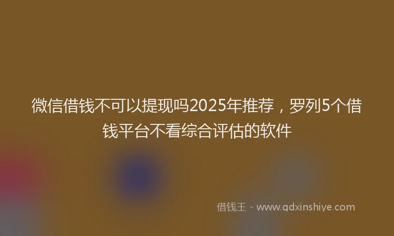 微信借钱不可以提现吗2025年推荐，罗列5个借钱平台不看综合评估的软件