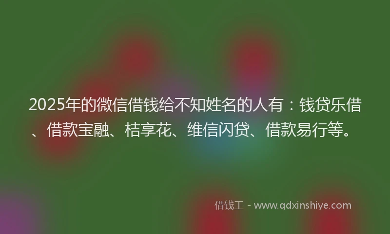 2025年的微信借钱给不知姓名的人有：钱贷乐借、借款宝融、桔享花、维信闪贷、借款易行等。