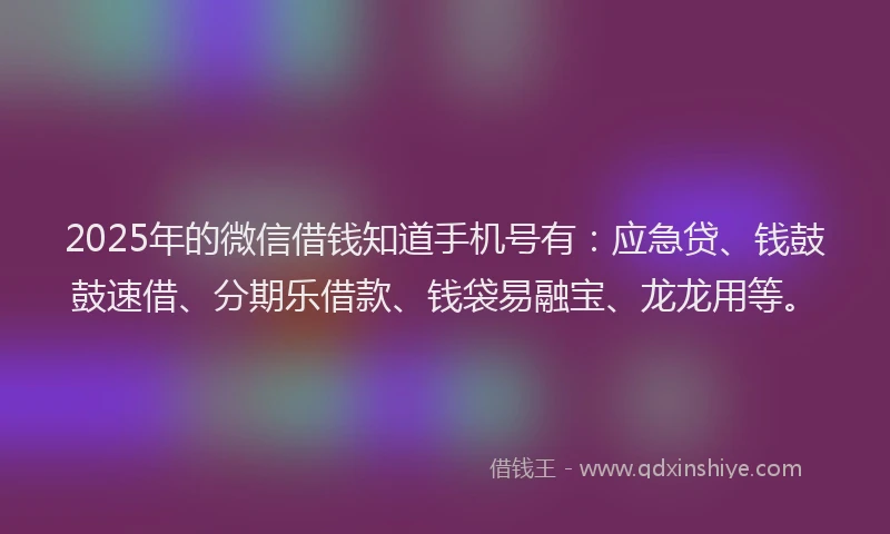 2025年的微信借钱知道手机号有：应急贷、钱鼓鼓速借、分期乐借款、钱袋易融宝、龙龙用等。