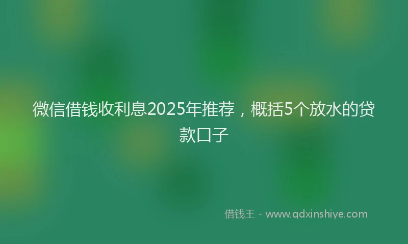 微信借钱收利息2025年推荐，概括5个放水的贷款口子