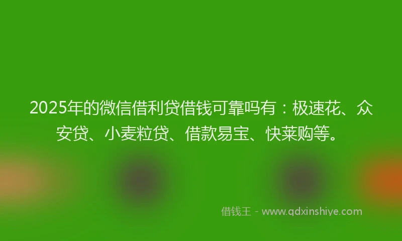 2025年的微信借利贷借钱可靠吗有：极速花、众安贷、小麦粒贷、借款易宝、快莱购等。
