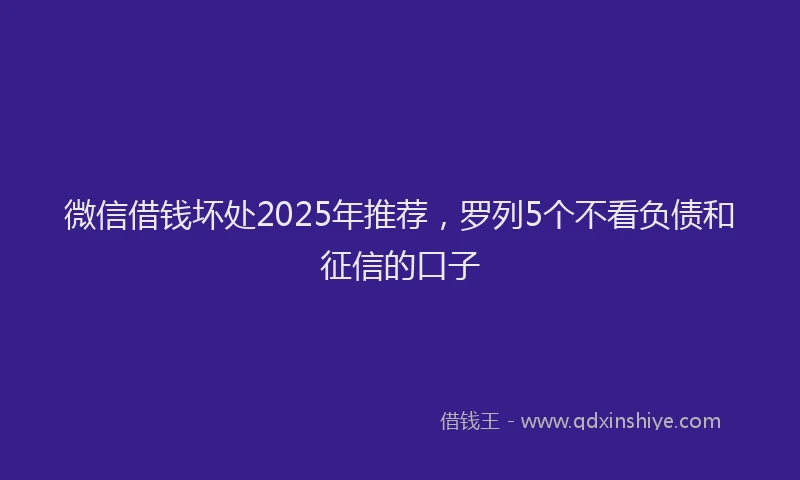 微信借钱坏处2025年推荐，罗列5个不看负债和征信的口子
