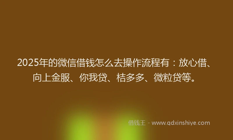 2025年的微信借钱怎么去操作流程有：放心借、向上金服、你我贷、桔多多、微粒贷等。