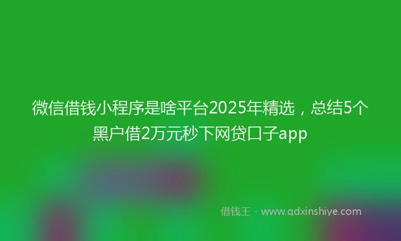 微信借钱小程序是啥平台2025年精选，总结5个黑户借2万元秒下网贷口子app