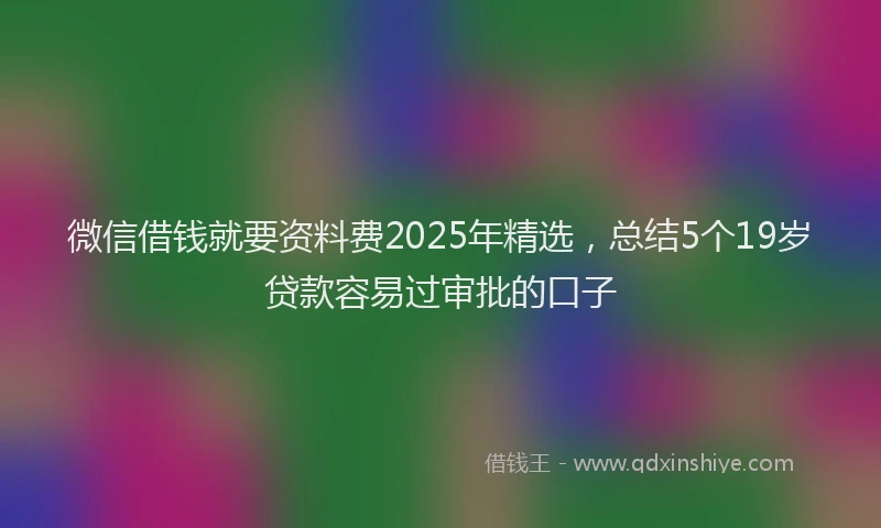 微信借钱就要资料费2025年精选，总结5个19岁贷款容易过审批的口子