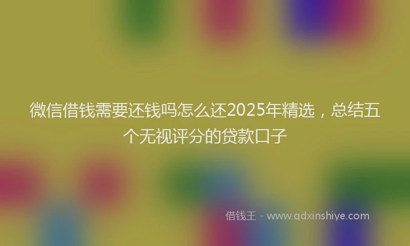 微信借钱需要还钱吗怎么还2025年精选，总结五个无视评分的贷款口子
