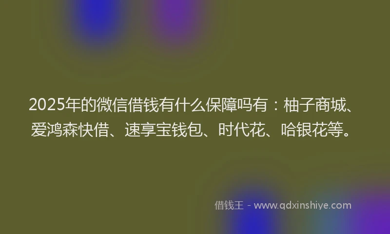 2025年的微信借钱有什么保障吗有：柚子商城、爱鸿森快借、速享宝钱包、时代花、哈银花等。