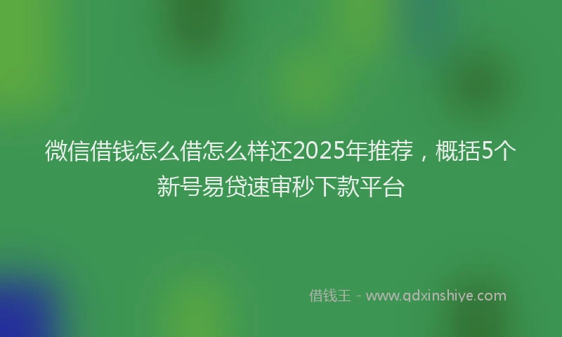 微信借钱怎么借怎么样还2025年推荐，概括5个新号易贷速审秒下款平台
