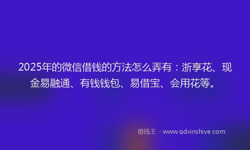 2025年的微信借钱的方法怎么弄有：浙享花、现金易融通、有钱钱包、易借宝、会用花等。