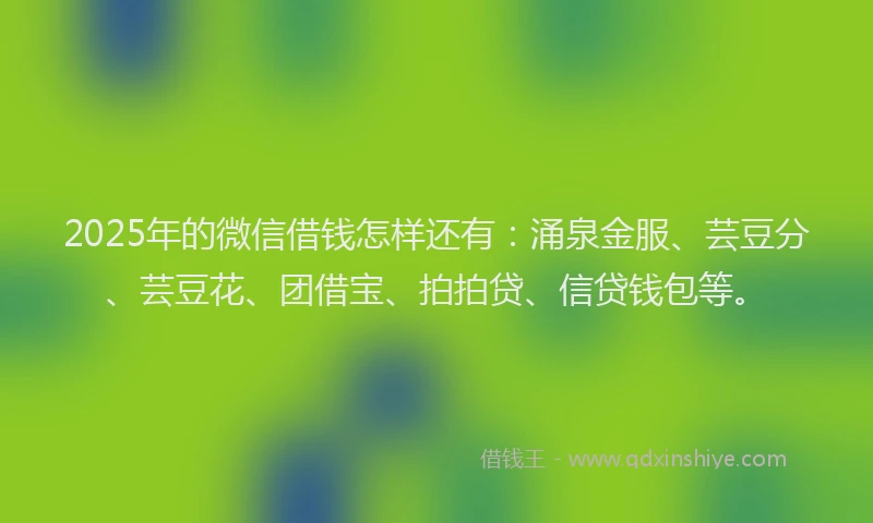 2025年的微信借钱怎样还有：涌泉金服、芸豆分、芸豆花、团借宝、拍拍贷、信贷钱包等。