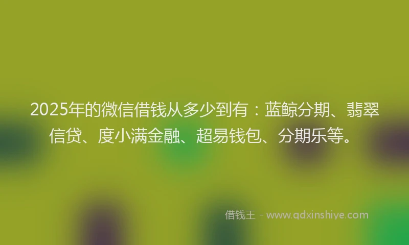 2025年的微信借钱从多少到有：蓝鲸分期、翡翠信贷、度小满金融、超易钱包、分期乐等。