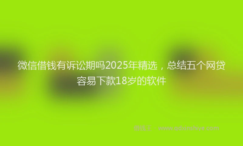 微信借钱有诉讼期吗2025年精选，总结五个网贷容易下款18岁的软件
