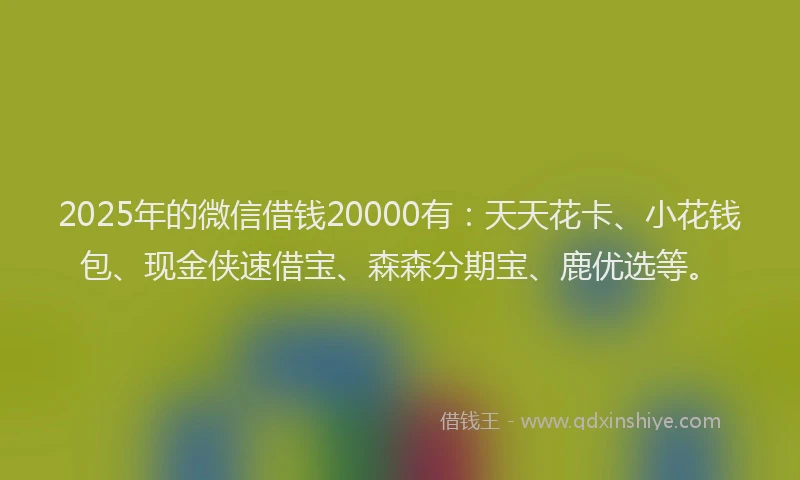 2025年的微信借钱20000有：天天花卡、小花钱包、现金侠速借宝、森森分期宝、鹿优选等。