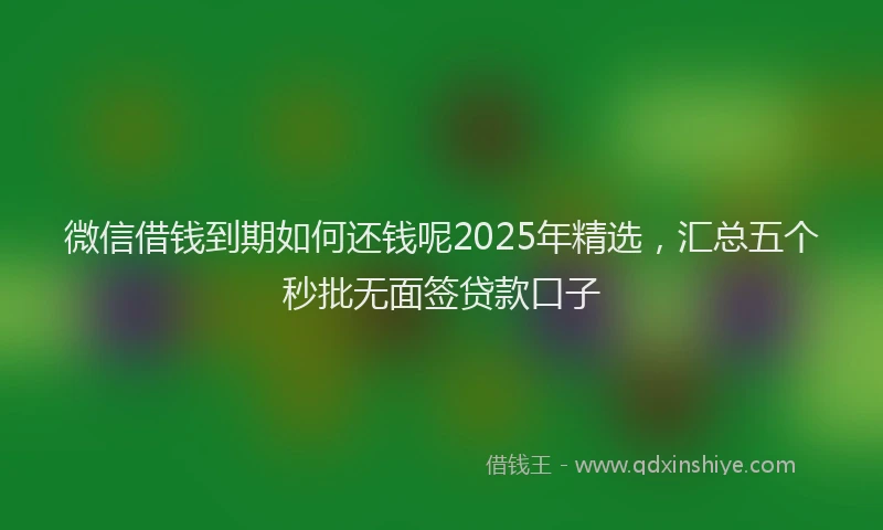 微信借钱到期如何还钱呢2025年精选，汇总五个秒批无面签贷款口子