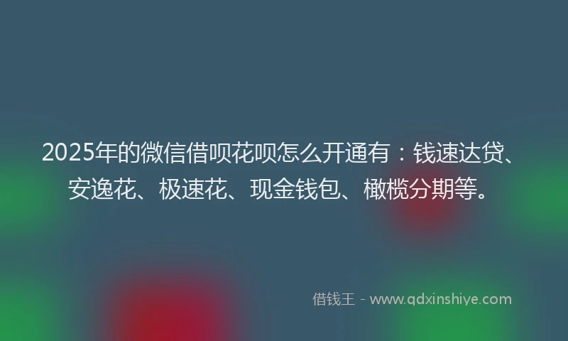 2025年的微信借呗花呗怎么开通有：钱速达贷、安逸花、极速花、现金钱包、橄榄分期等。