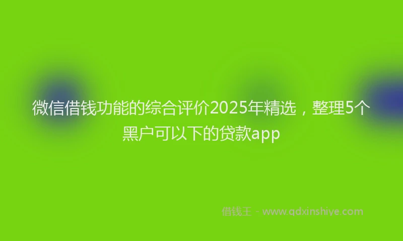微信借钱功能的综合评价2025年精选，整理5个黑户可以下的贷款app