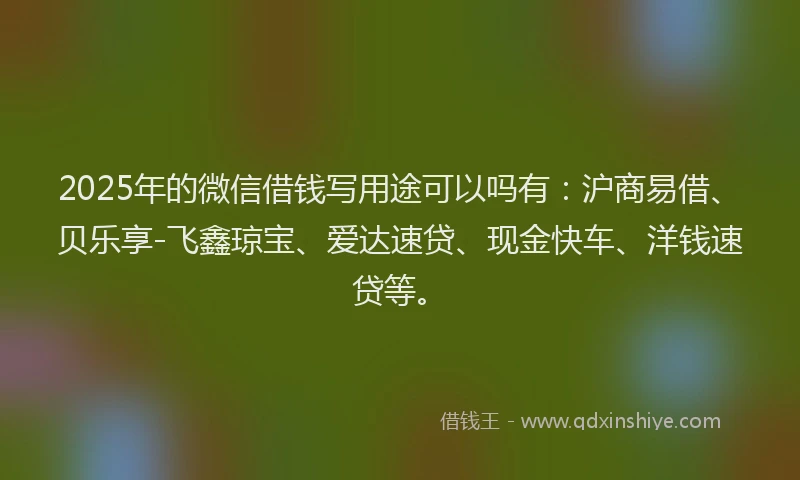 2025年的微信借钱写用途可以吗有：沪商易借、贝乐享-飞鑫琼宝、爱达速贷、现金快车、洋钱速贷等。