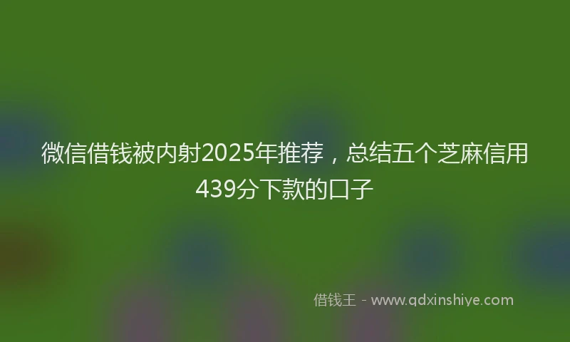 微信借钱被内射2025年推荐，总结五个芝麻信用439分下款的口子