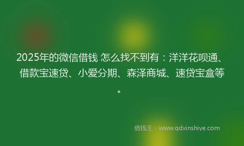 2025年的微信借钱 怎么找不到有：洋洋花呗通、借款宝速贷、小爱分期、森泽商城、速贷宝盒等。