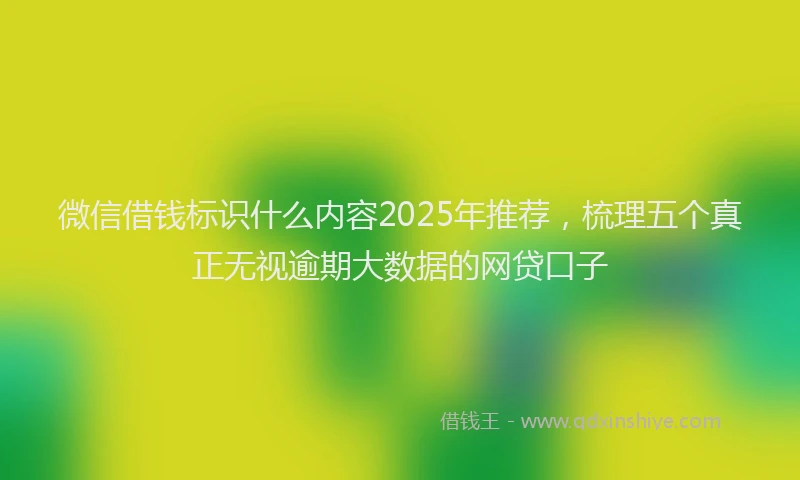 微信借钱标识什么内容2025年推荐，梳理五个真正无视逾期大数据的网贷口子