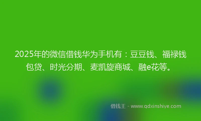 2025年的微信借钱华为手机有：豆豆钱、福禄钱包贷、时光分期、麦凯旋商城、融e花等。