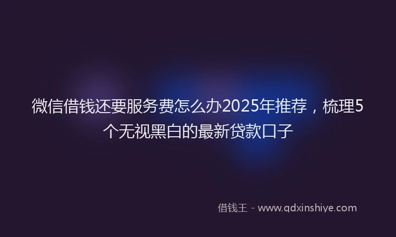 微信借钱还要服务费怎么办2025年推荐，梳理5个无视黑白的最新贷款口子