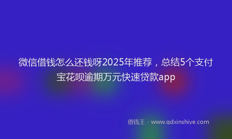 微信借钱怎么还钱呀2025年推荐，总结5个支付宝花呗逾期万元快速贷款app