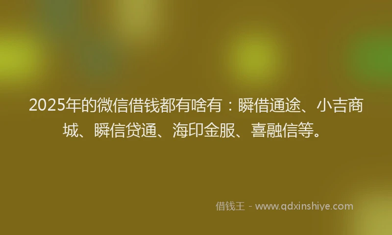 2025年的微信借钱都有啥有：瞬借通途、小吉商城、瞬信贷通、海印金服、喜融信等。