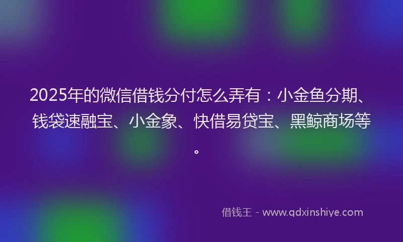 2025年的微信借钱分付怎么弄有：小金鱼分期、钱袋速融宝、小金象、快借易贷宝、黑鲸商场等。