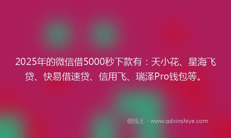 2025年的微信借5000秒下款有：天小花、星海飞贷、快易借速贷、信用飞、瑞泽Pro钱包等。