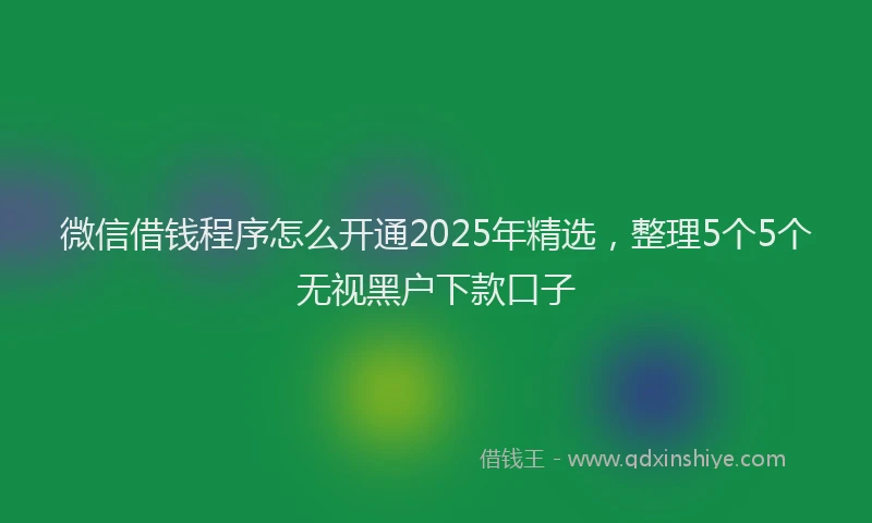 微信借钱程序怎么开通2025年精选，整理5个5个无视黑户下款口子