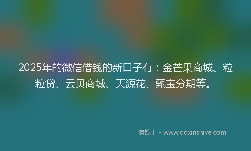 2025年的微信借钱的新口子有：金芒果商城、粒粒贷、云贝商城、天源花、甄宝分期等。