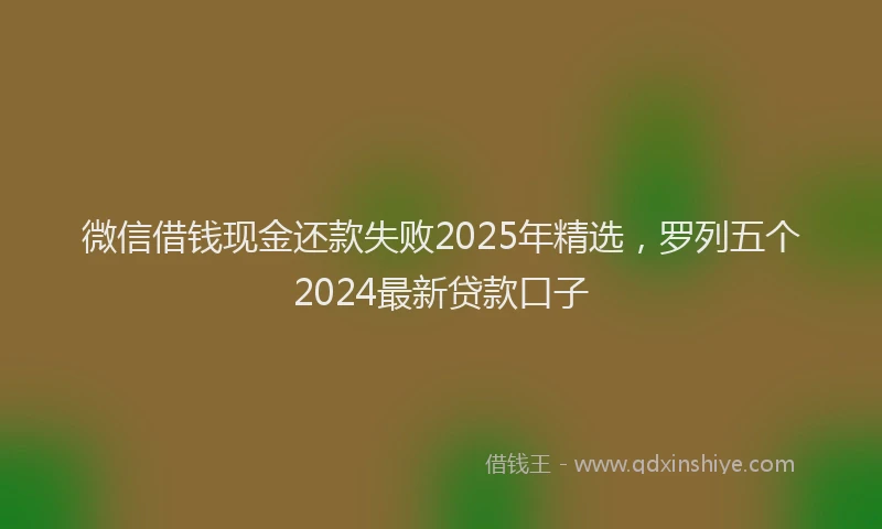 微信借钱现金还款失败2025年精选，罗列五个2024最新贷款口子