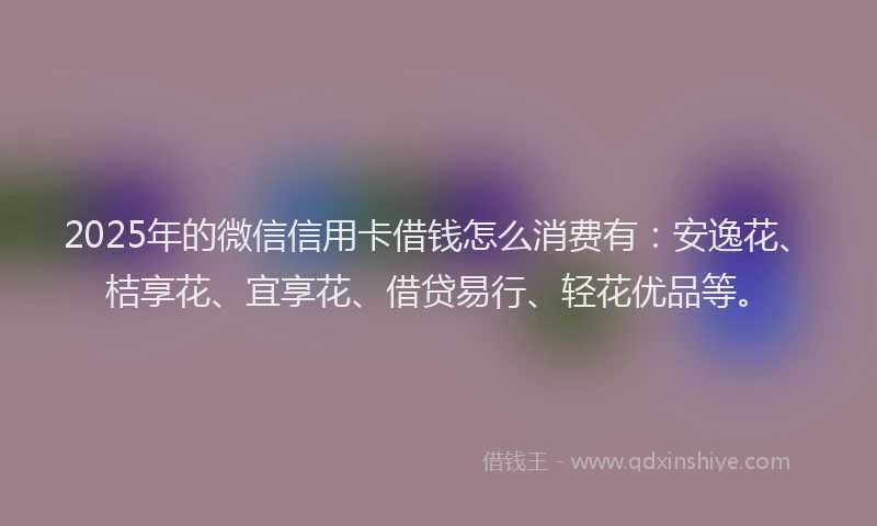 2025年的微信信用卡借钱怎么消费有：安逸花、桔享花、宜享花、借贷易行、轻花优品等。