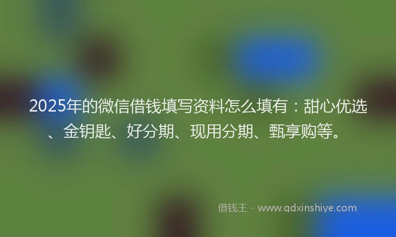 2025年的微信借钱填写资料怎么填有：甜心优选、金钥匙、好分期、现用分期、甄享购等。
